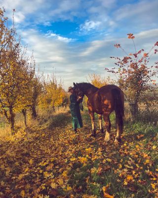 Tady tu, jsi zde s dovolením odložím. Minulý rok jsi mě vstoupil do života. Děkuji za to♥️