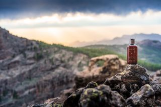 Pokud máš problémy s lupy, může být příčinou suchá pokožka hlavy, přemnožení kvasinek (Malassezia), špatná volba vlasové...